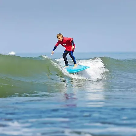 La Savariere Campagne Et Pour 12 *