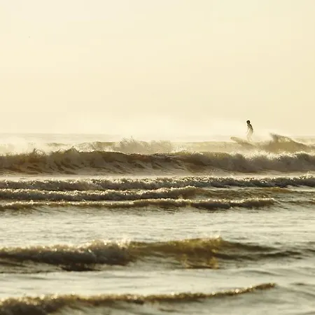 La Savariere Campagne Et Pour 12