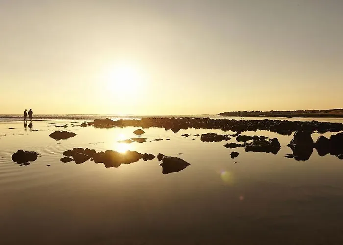 La Savariere Campagne Et Pour 12 Landevieille