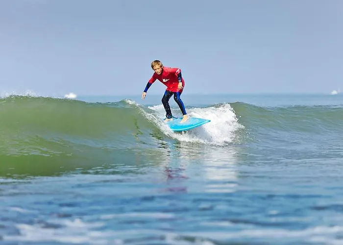 La Savariere Campagne Et Pour 12 *