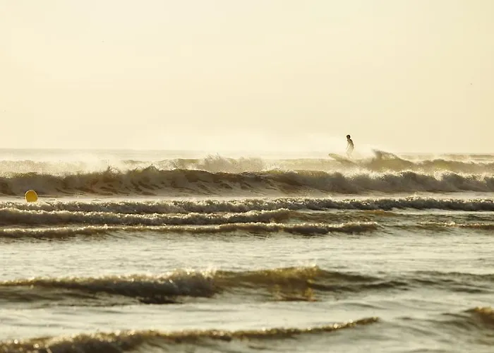 La Savariere Campagne Et Pour 12